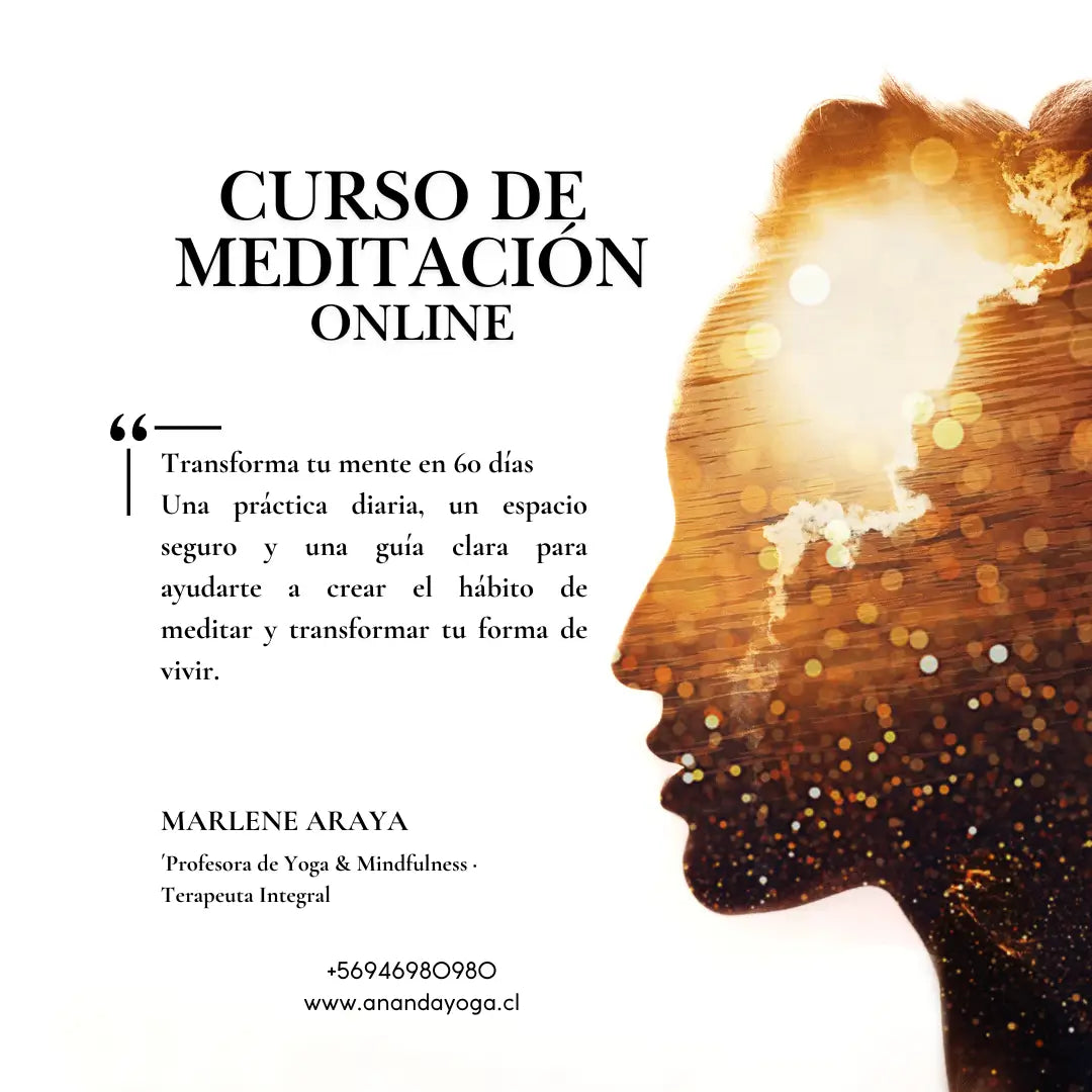 Imagen del curso de meditación online con silueta iluminada y texto: “Transforma tu mente en 60 días”.