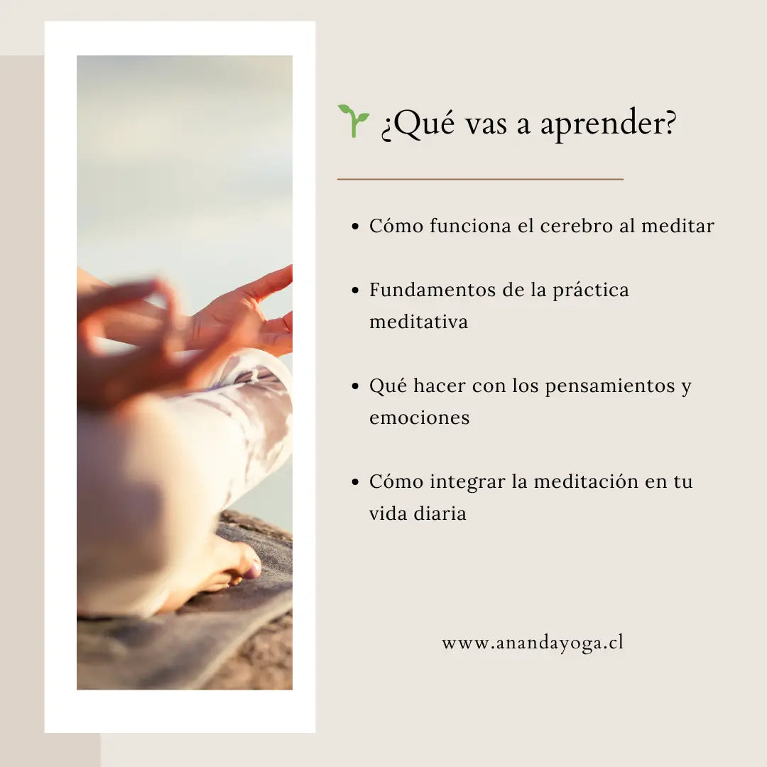 Contenidos del curso de meditación: cómo funciona el cerebro al meditar, fundamentos, gestión emocional e integración en la vida diaria.