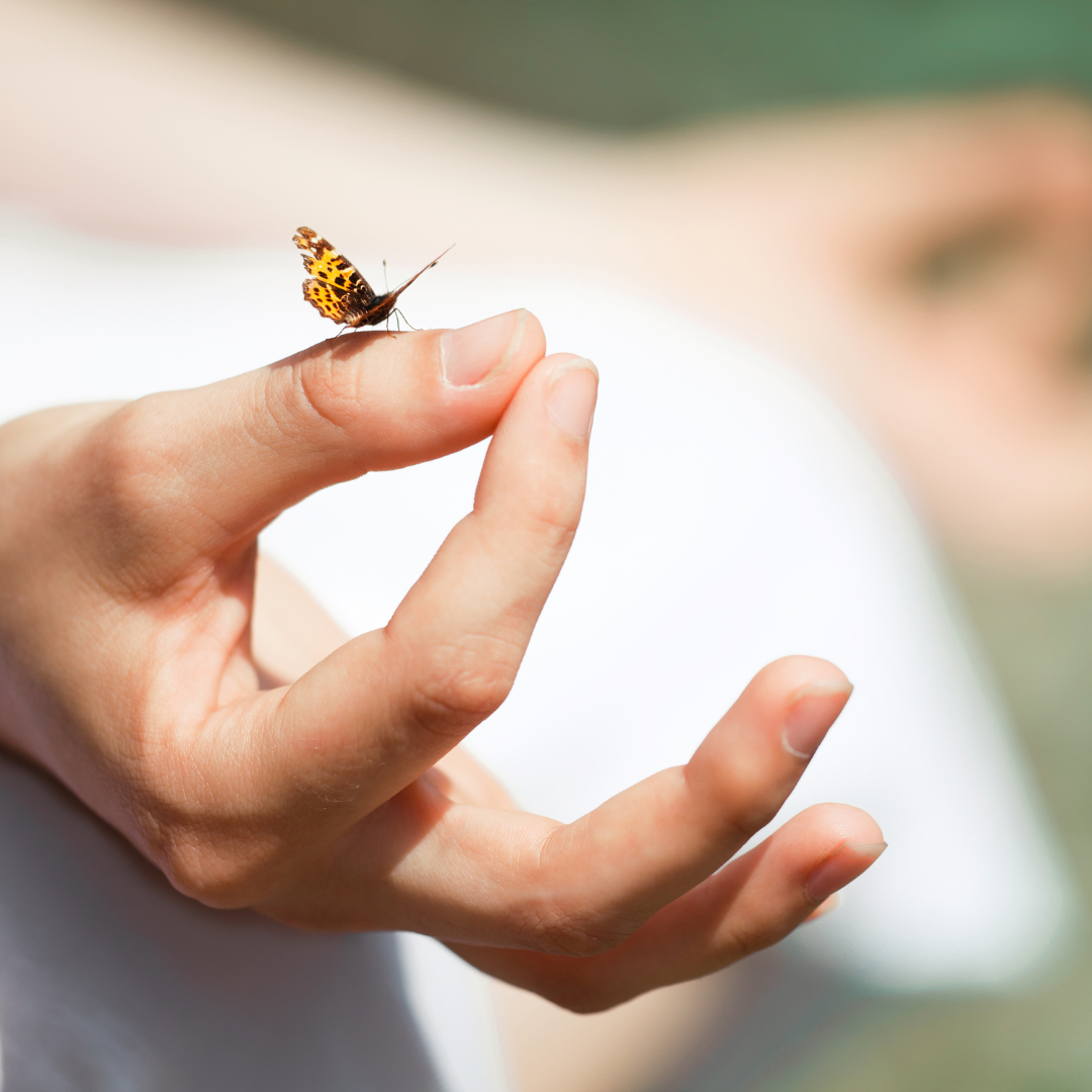 La importancia de la meditación en la práctica del yoga: Técnicas y beneficios de la meditación diaria