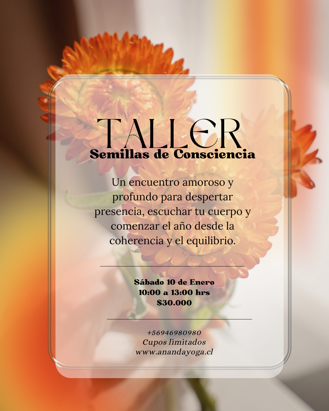Taller: Sembrando Semillas