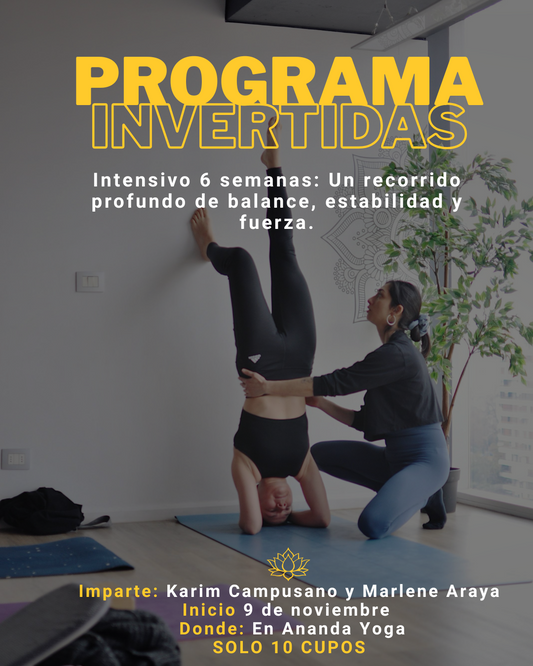 Programa Intensivo Invertidas