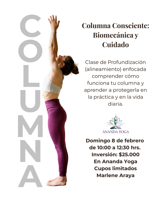Taller: Columna Consciente